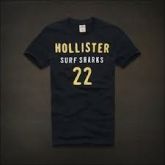 Camisa Hollister